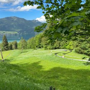 坚强信念带我飞翔