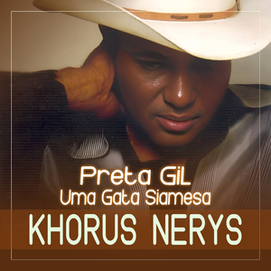 Preta Gil (Uma Gata Siamesa)