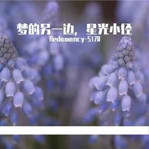 The other side of the dream, the starlight trail