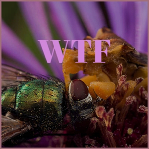 How Did We Get So in Love?