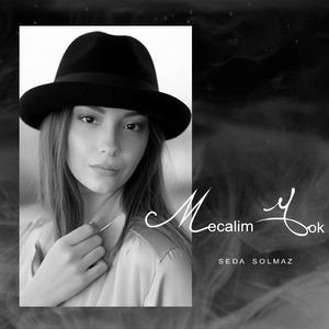Mecalim Yok