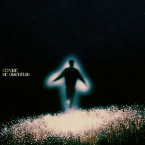 Сердце не обманешь