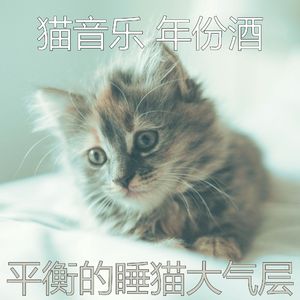 温和猫午睡时间梦想