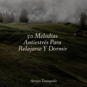 Momentos Tranquilos De Paz