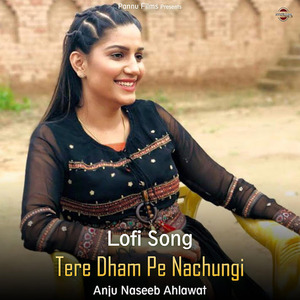 Tere Dham Pe Nachungi (lofi remix)