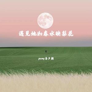 遇见她如春水映梨花