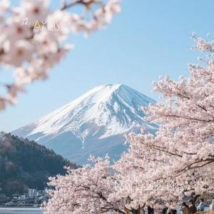 月光の雲海