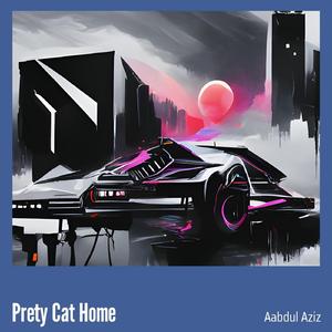 Prety Cat Home