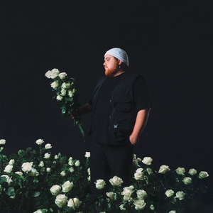 Vielleicht Vielleicht