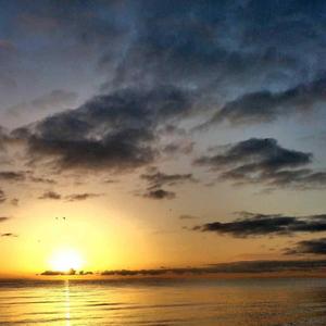 诺言得不到实现