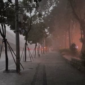 既然交汇过 何必问要去哪个远方