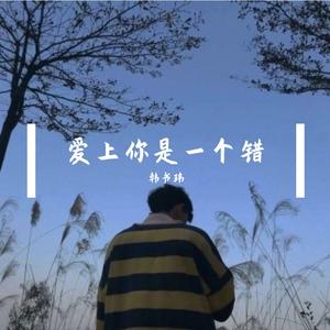 爱上你是一个错（cover小阿枫）