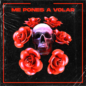Me Pones a Volar