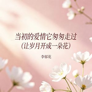 当初的爱情它匆匆走过（让岁月开成一朵花）