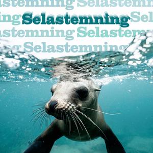 Selastemning