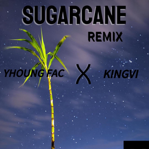 Sugarcane (Remix)