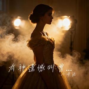 有种遗憾叫曾经 (小幸运 Remix)