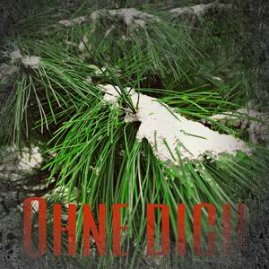 Ohne dich (Piano Cover)