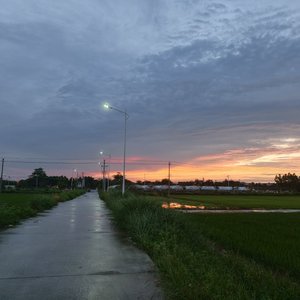 感谢你绝情 才让我清醒