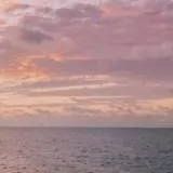 这么一个人 (18)