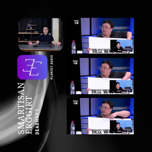 PLAN3ET AUDIO-SMARTISANREGGIRT（PLAN3ET AUDIO / DEADNAP？ remix）