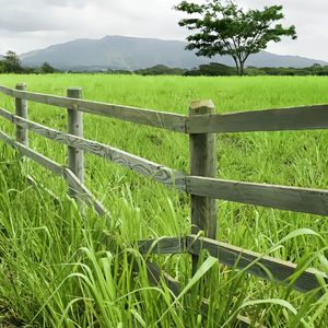 风暴来临前的沉默