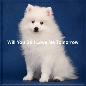 Will You Still Love Me Tomorrow (Instrumental)
