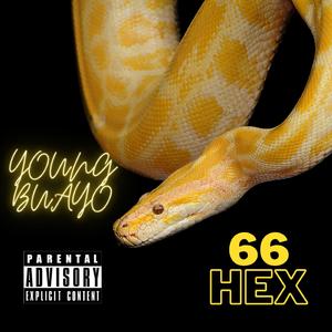 66hex2
