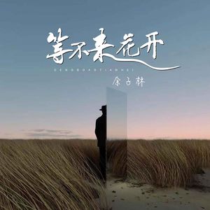 等不来花开 (完整版)