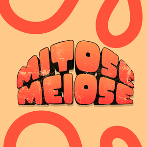 Mitose Meiose