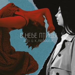 В небе птицы