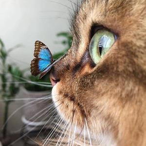 it's oook (prod. Furyl)