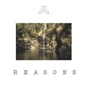 Reasons