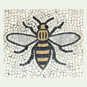 Love for Stacy Anderson