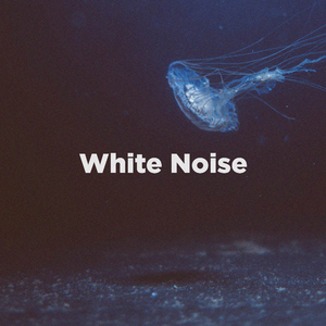 Underwater White Noise, Pt. 16