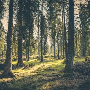 烟雨江南（舒缓背景音乐）