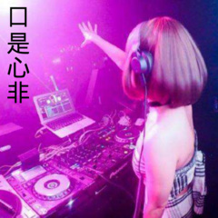 单人旅程 (DJ版)