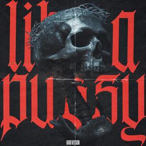 Like a Pussy (Hard Version)