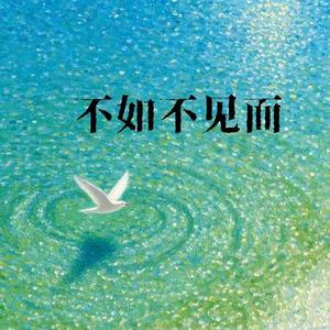 不如不见面 (Remix)