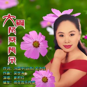 大爱格桑梅朵 伴奏