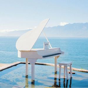 草原之声(编辑)