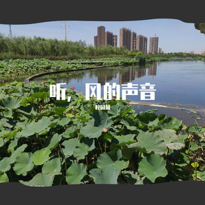 听，风的声音