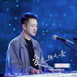 爱已随风去