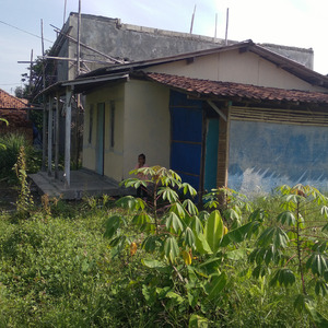 Puyeng