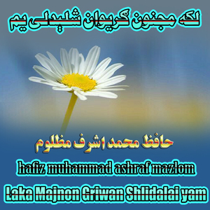Laka Majnon Griwan