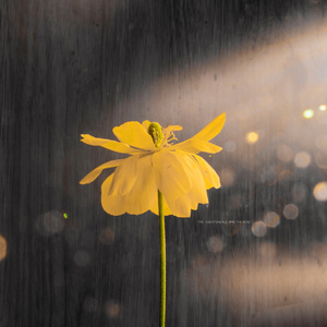 三途の川（さんずのかわ）