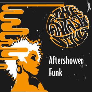 Aftershower Funk (Kenny **** Extended Mix)