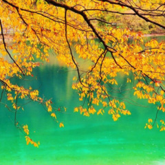 从未这样心动过