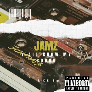 Waste No Time (feat. SlowB, LAIDO N DA FAMILIES, Pico Jay-p & Mister Locc) (JAMZ Remix)