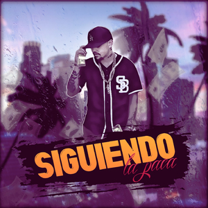 Siguiendo la Paca